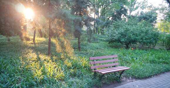 Experience the Charm of The Sunnyside Sisters Bed and Breakfast in Clarksville, VA