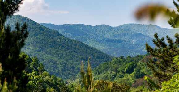 Discover the Charm of Clarksville, VA with Sunnyside Sisters B&amp;B