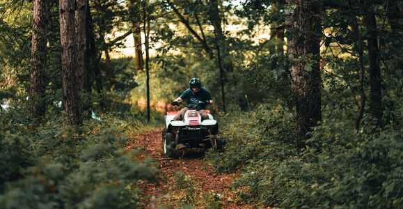 Experience Southern Charm at The Sunnyside Sisters Bed and Breakfast in Clarksville, VA